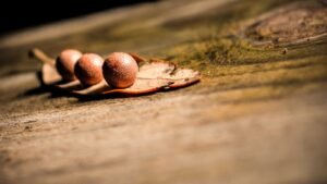 DHC 30mg vs 60mg vs 90mg: Picking the Right Dihydrocodeine Strength
