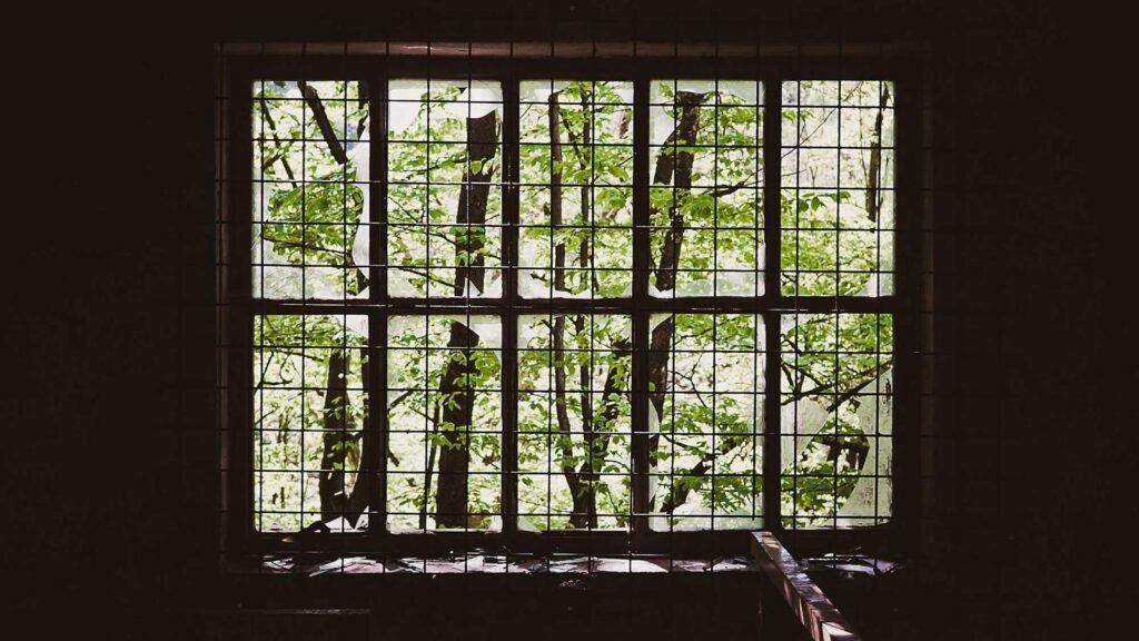 Storing Dihydrocodeine at Home: A Practical Safety Guide