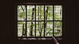 Storing Dihydrocodeine at Home: A Practical Safety Guide